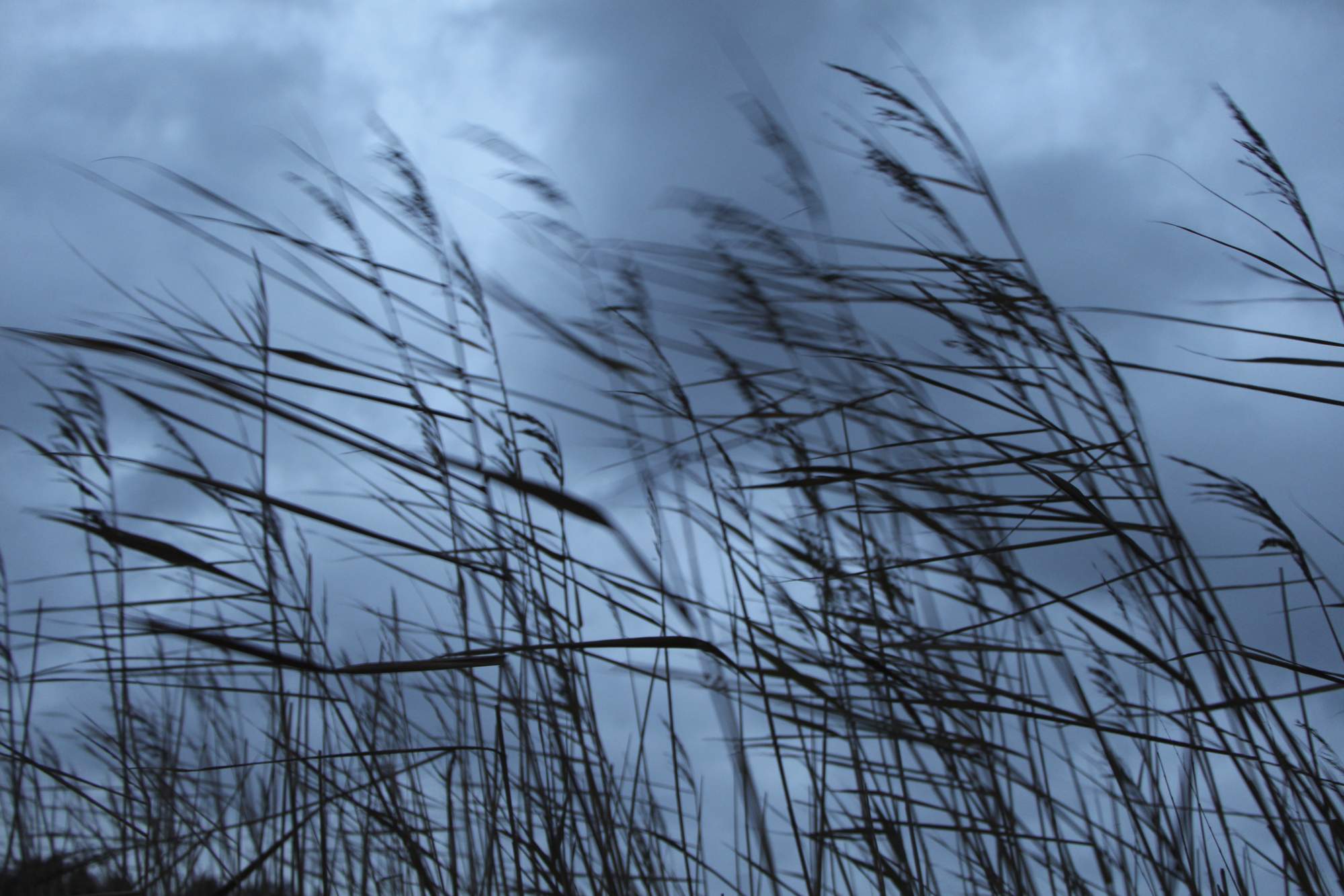 Editoriale Altroconsumo Finanza